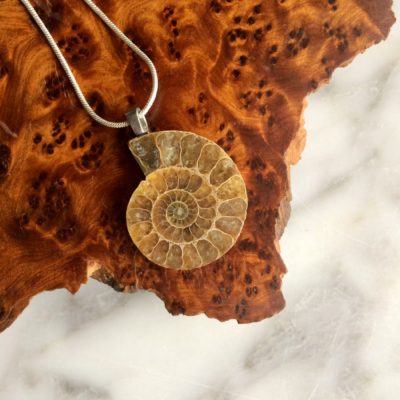 ammonite fossil pendant