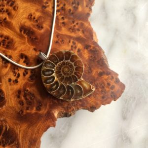 ammonite fossil pendant