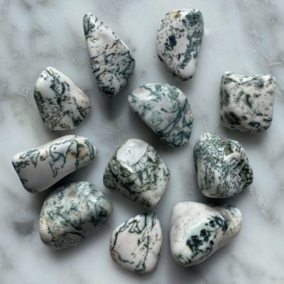 tree agate tumbled pocket stone - agate arbre roulée pierre de poche