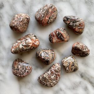Leopardskin Jasper Tumbled Pocket Stones - Jaspe leopard roulé pierre de poche
