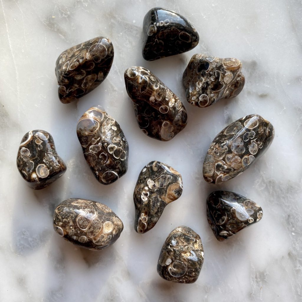 Turitella Agate Tumbled Pocket Stone - Minera Emporium Crystal ...