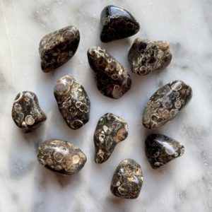 Turitella Agate Tumbled Pocket Stone - Agate turitelle roulée pierre de poche