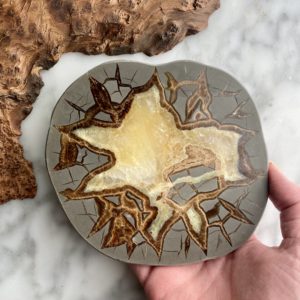 Septarian Slice