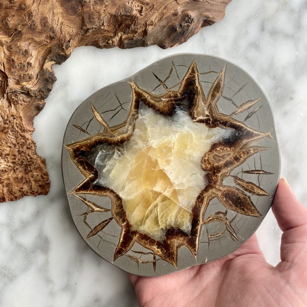 Septarian Nodule Slice - Minera Emporium Crystal & Mineral Shop