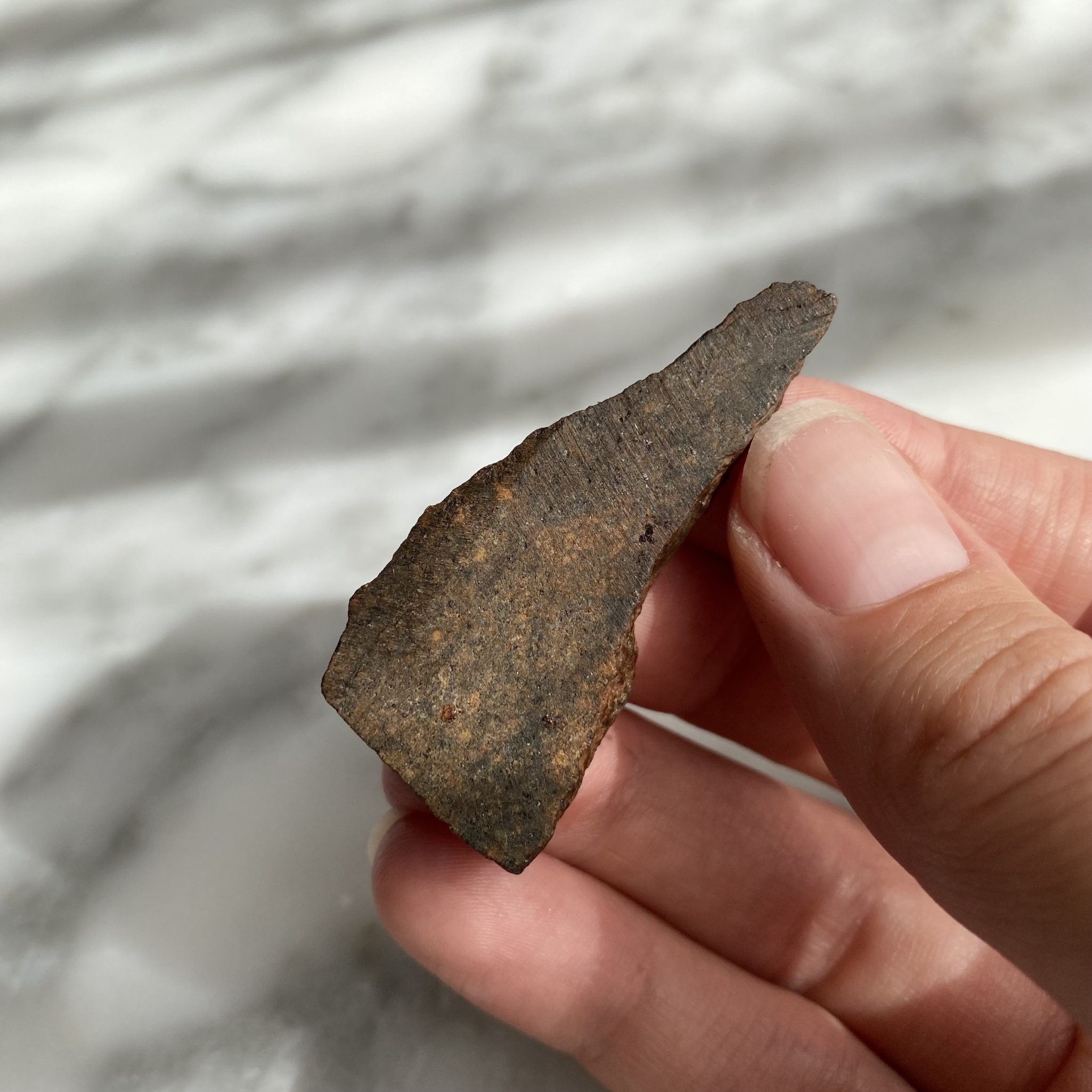 A genuine meteorite specimen from the Sahara Desert (Morocco) 1