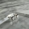 Moonstone sterling silver stud earrings - Boucles d'oreilles pierre de lune argent sterling