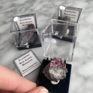miniature minerals moroccan erythrite specimen - minéraux miniatures spécimen d'érythrite du Maroc