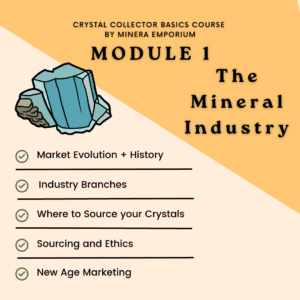 Module 1 - Crystal Collector Basics Course