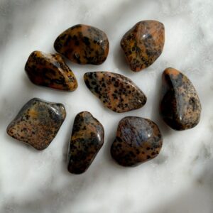 cheetah agate tumbled pocket stone - agate guépard roulé pierre de poche