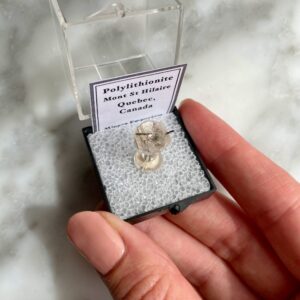 Polylithionite and aegirine - polylithionite et aegirine