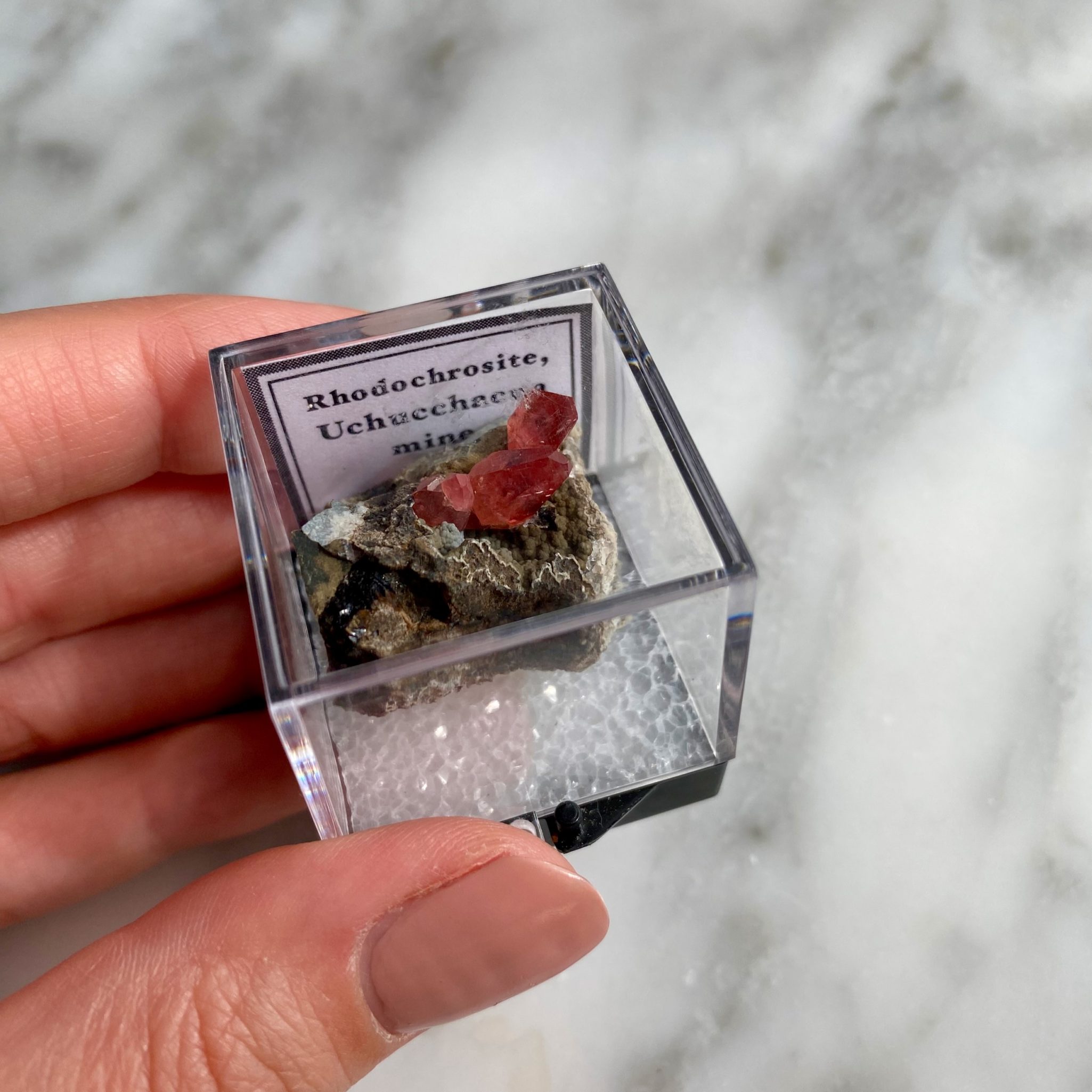 Red Garnet Tumbled Pocket Stone - Minera Emporium Crystal & Mineral Shop