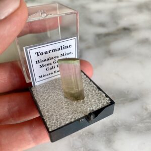 Tricolor Tourmaline from Himalaya Mine, California - Tourmaline tricolore de la mine himalaya, californie