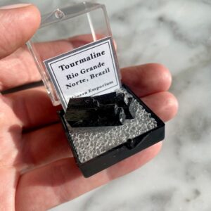 Double Terminated Black Tourmaline var Schorl from Rio Grande, Brazil - Tourmaline Noire var Schorl Double Terminaison de Rio Grande