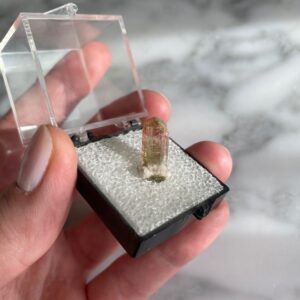 Tricolor Tourmaline with Lepidolite from Barra de Salinas, Brazil - tourmaline tricolore de Barra de Salinas, Brésil