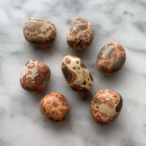 léopardite jasper tumbled pocket stone - jaspe leopardite roulé pierre de poche