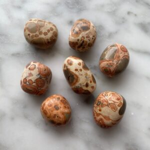léopardite jasper tumbled pocket stone - jaspe leopardite roulé pierre de poche