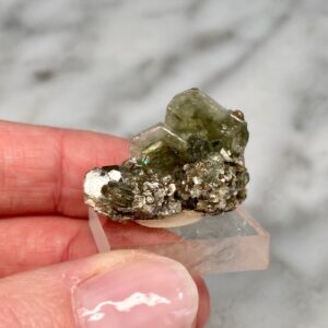 Apatite and Muscovite from Panasqueira