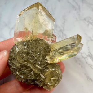 gypsum var. selenite from red river floodway - gypse var. sélénite de red river floodway