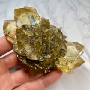 gypsum var. selenite from red river floodway - gypse var. sélénite de red river floodway