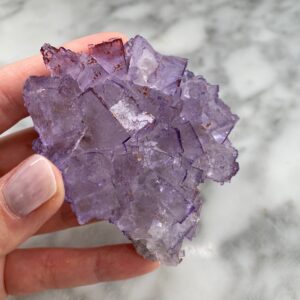 Fluorite from El Tule
