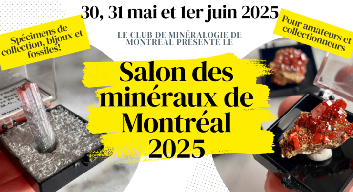 Montreal Gem Show 2025
