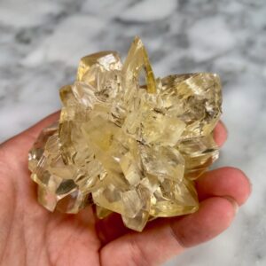 Gypsum var. Selenite from Red River Floodway, Manitoba AA1