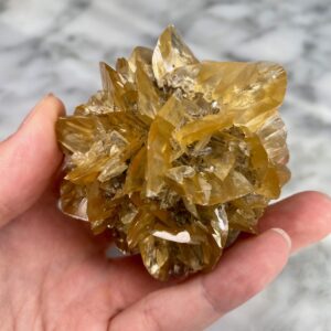 Gypsum var. Selenite from Red River Floodway, Manitoba BB1