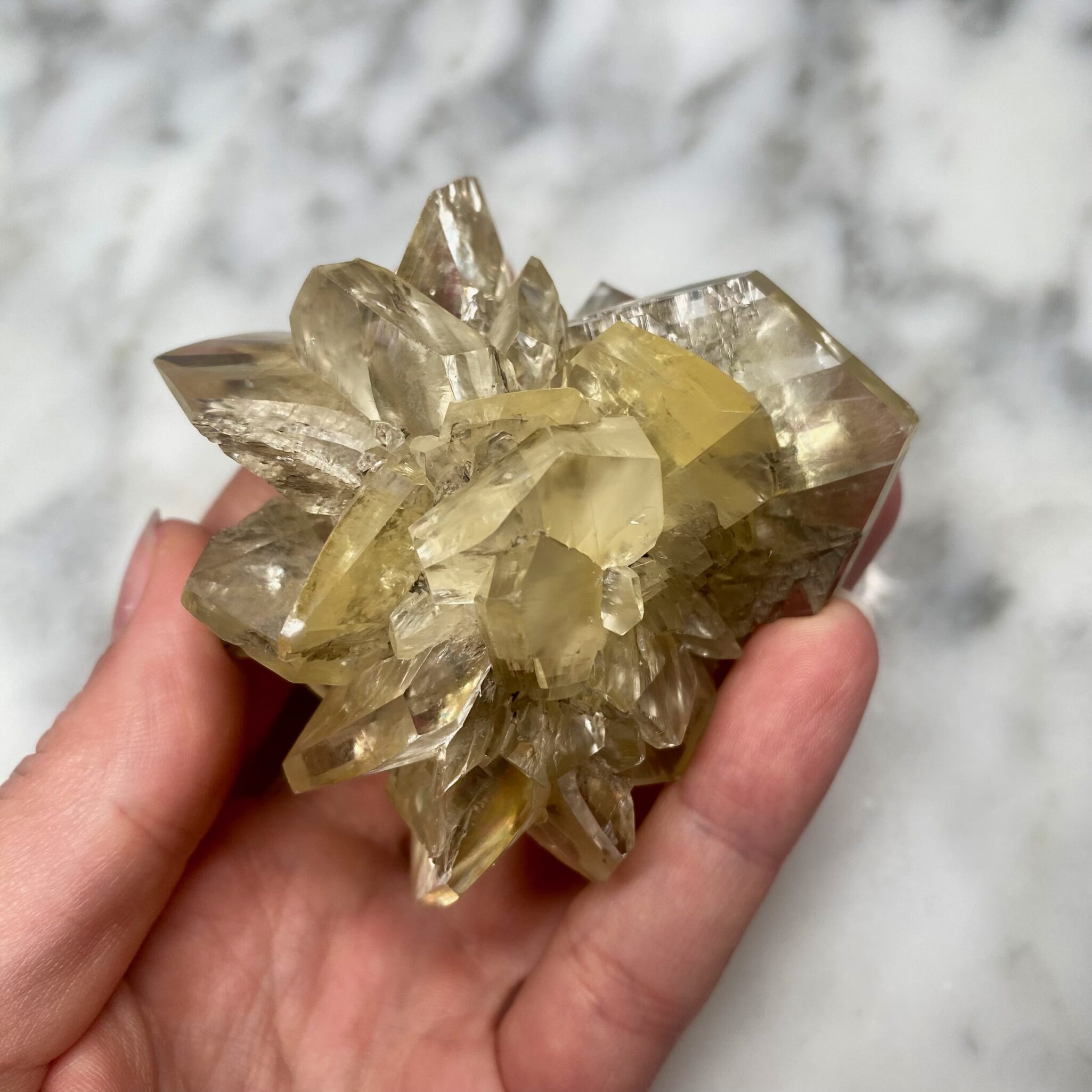 Gypsum var. Selenite from Red River Floodway, Manitoba DD1