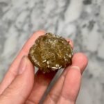 Gypsum var. Selenite from Red River Floodway, Manitoba EE1