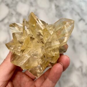 Gypsum var. Selenite from Red River Floodway, Manitoba FF1