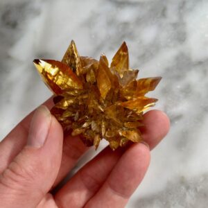 gypsum var. selenite sunflower from red river floodway