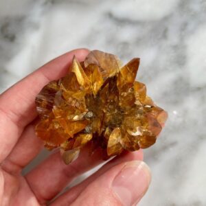 gypsum var. selenite sunflower from red river floodway 2a