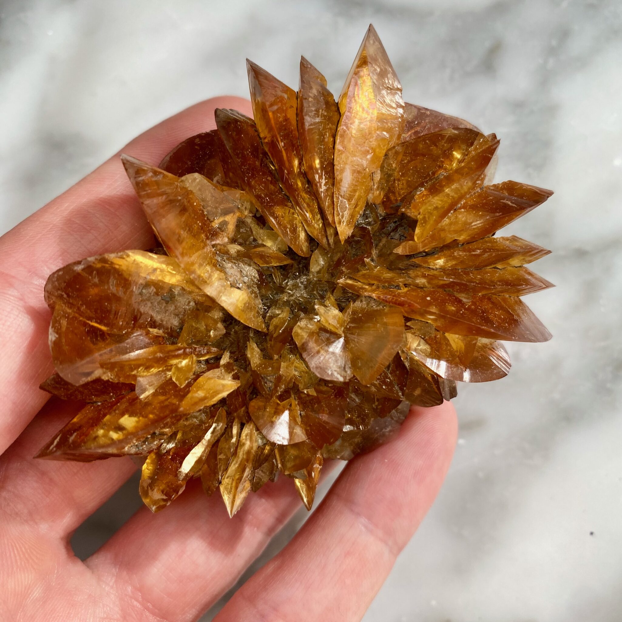 gypsum var. selenite sunflower from red river floodway
