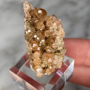 Hessonite Garnet Cluster from Jeffrey Mine, Quebec B