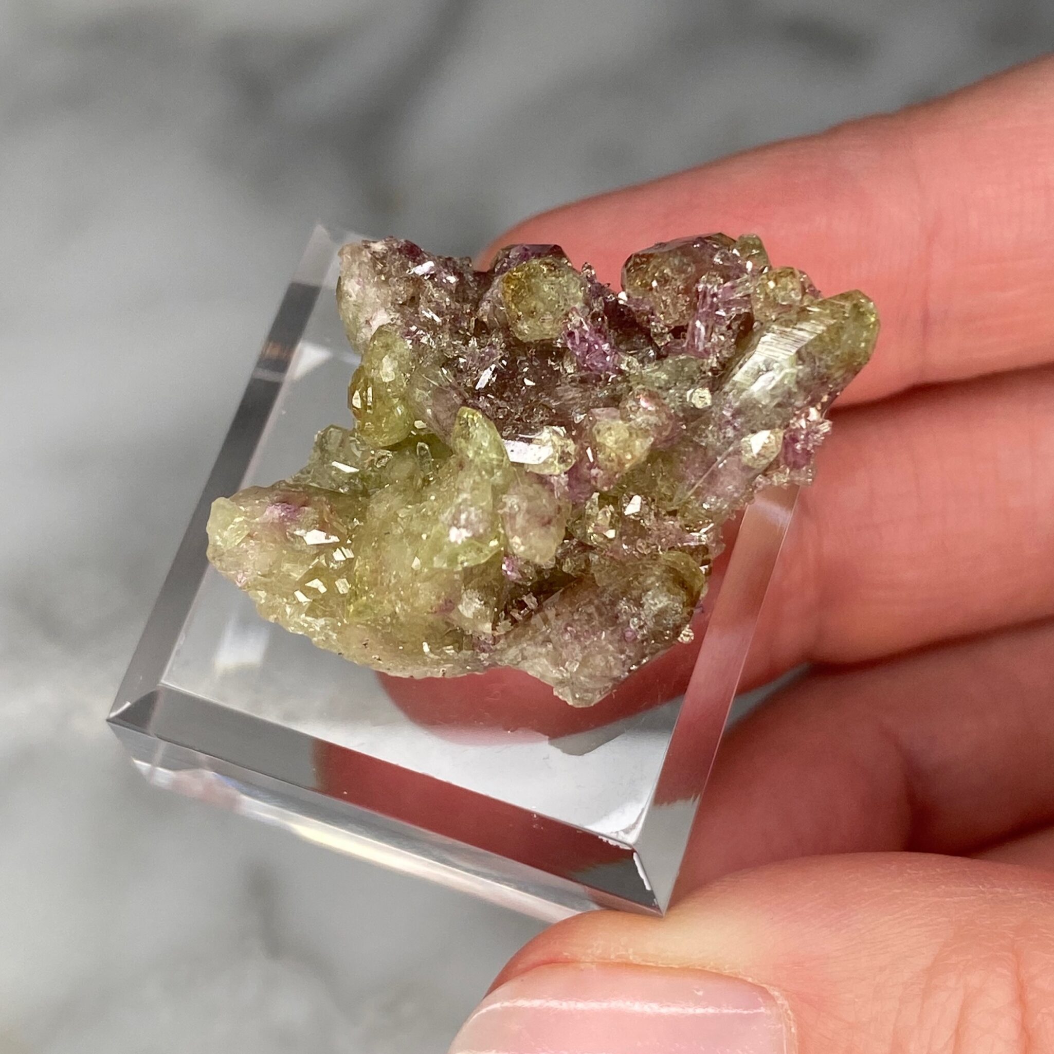 Vésuvianite - mangano vésuvianite de la mine Jeffrey, Québec (A) – Image 2