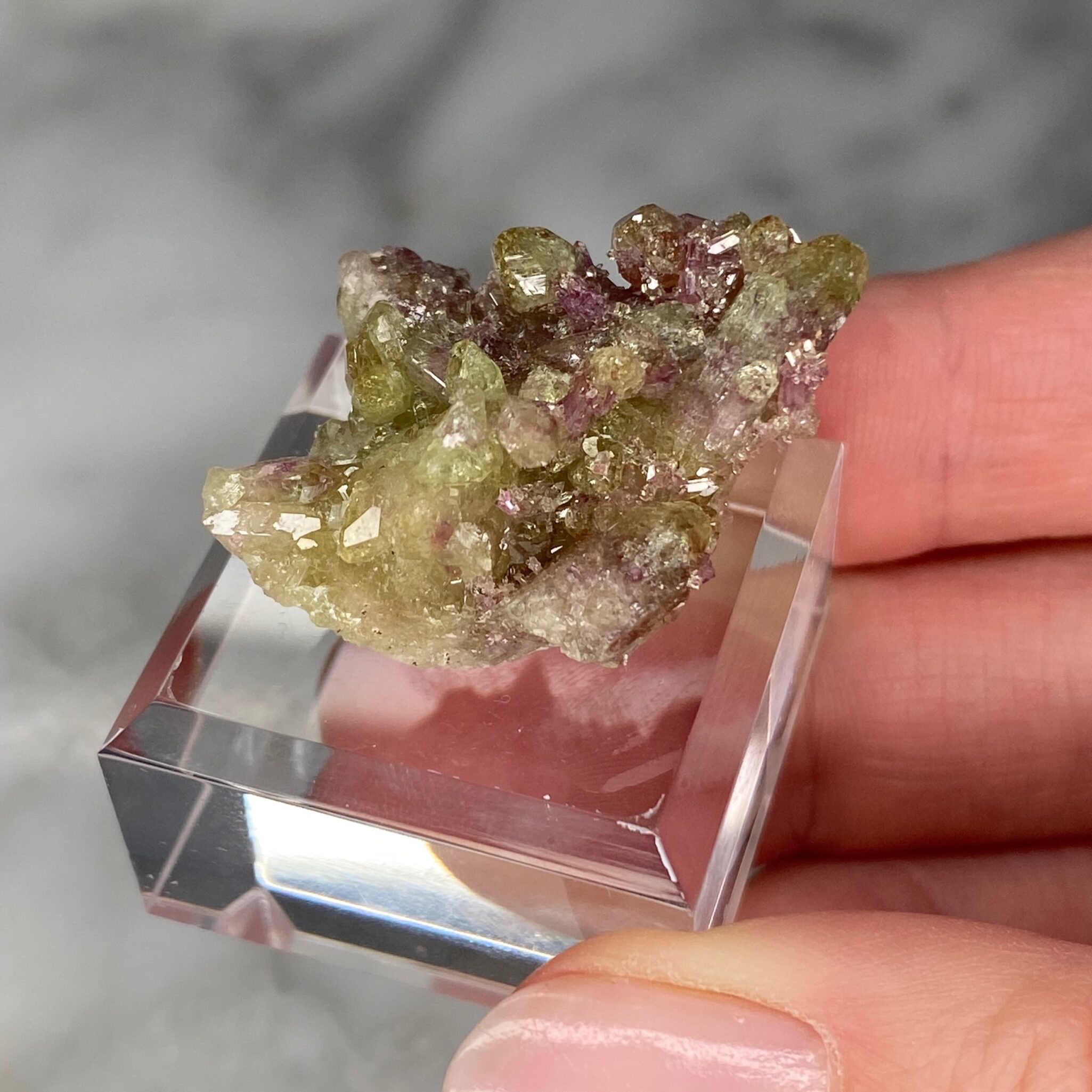 Vésuvianite - mangano vésuvianite de la mine Jeffrey, Québec (A) – Image 3