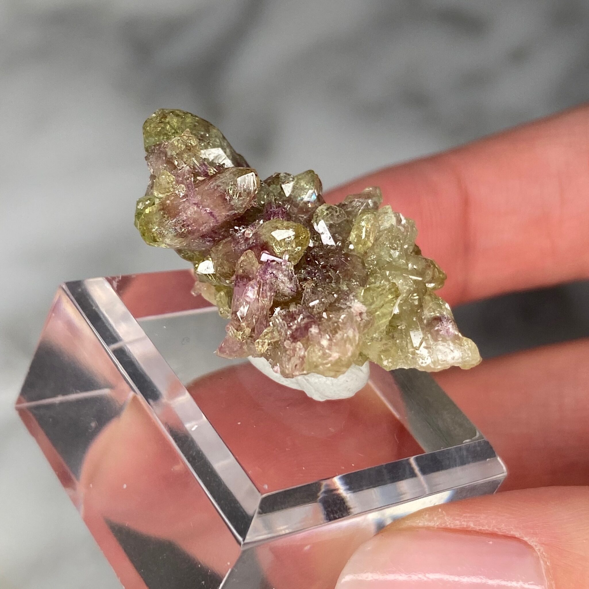 Vésuvianite - mangano vésuvianite de la mine Jeffrey, Québec (A) – Image 4