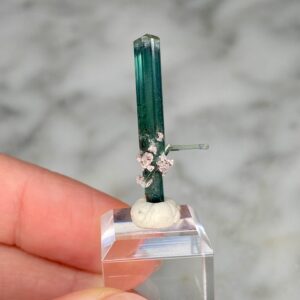Blue-Green Elbaite Tourmaline and Lepidolite from Sao Jose do Safira