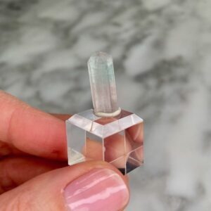 Parti-Color Pastel Tourmaline from Paprok 1a