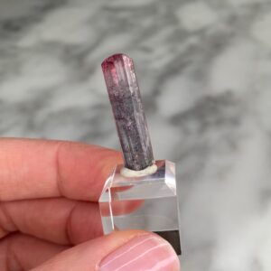 Particolor Elbaite Tourmaline from Santa Rosa Mine