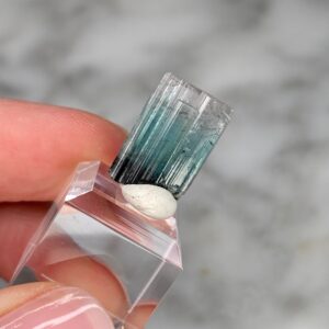 Particolor Indicolite Tourmaline from Nuristan