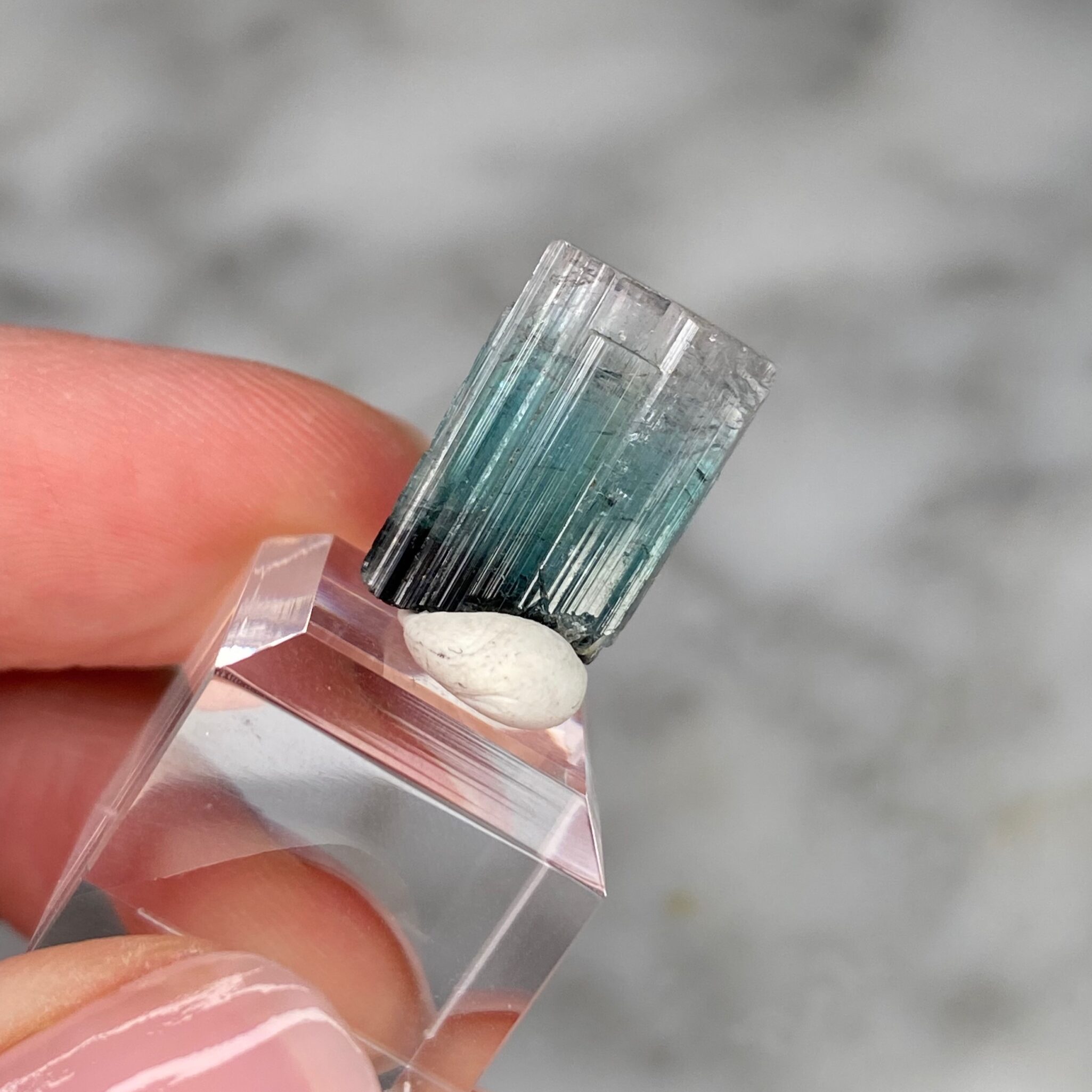 Particolor Indicolite Tourmaline from Nuristan
