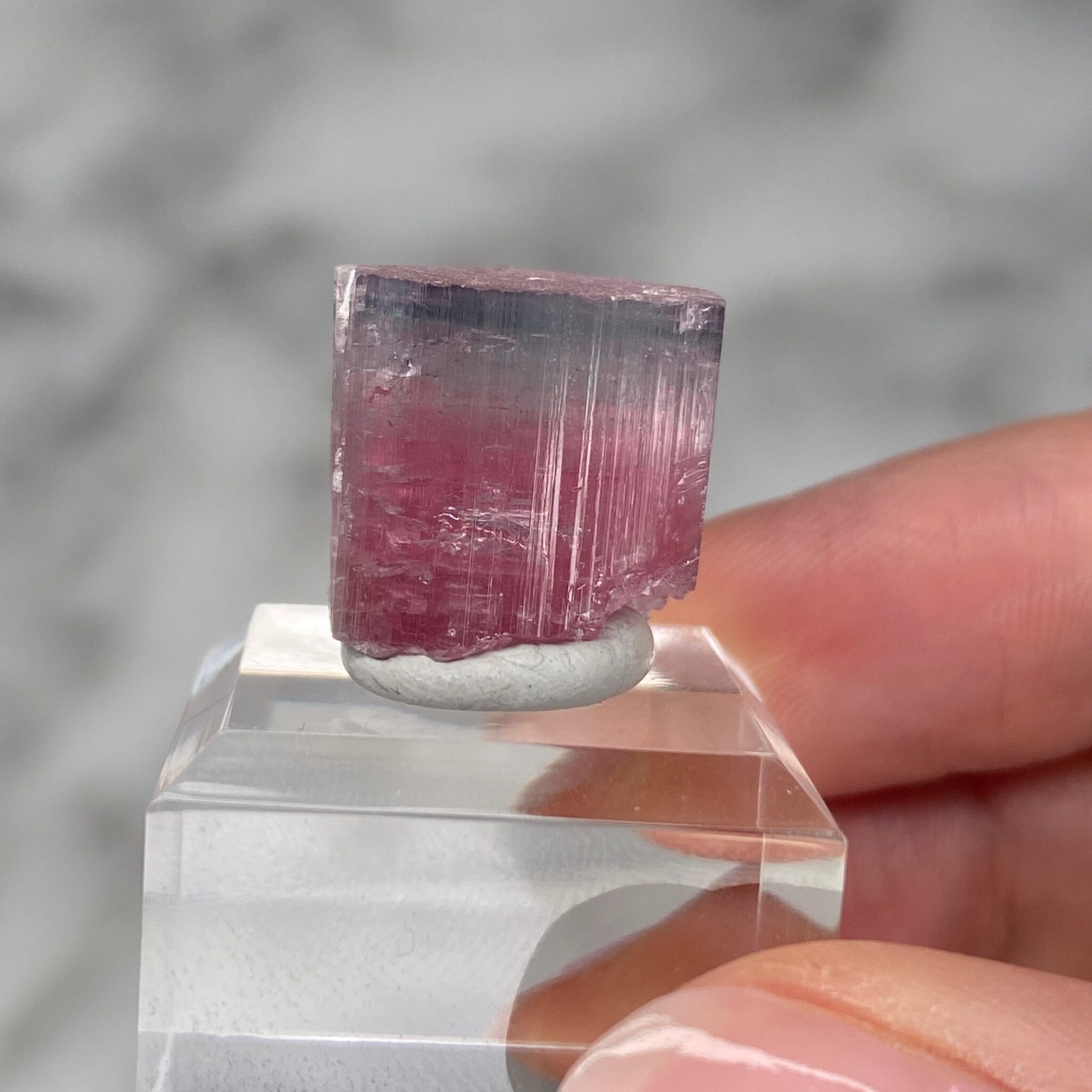 Pink-White-Blue Rubellite Tourmaline from Queen Mine
