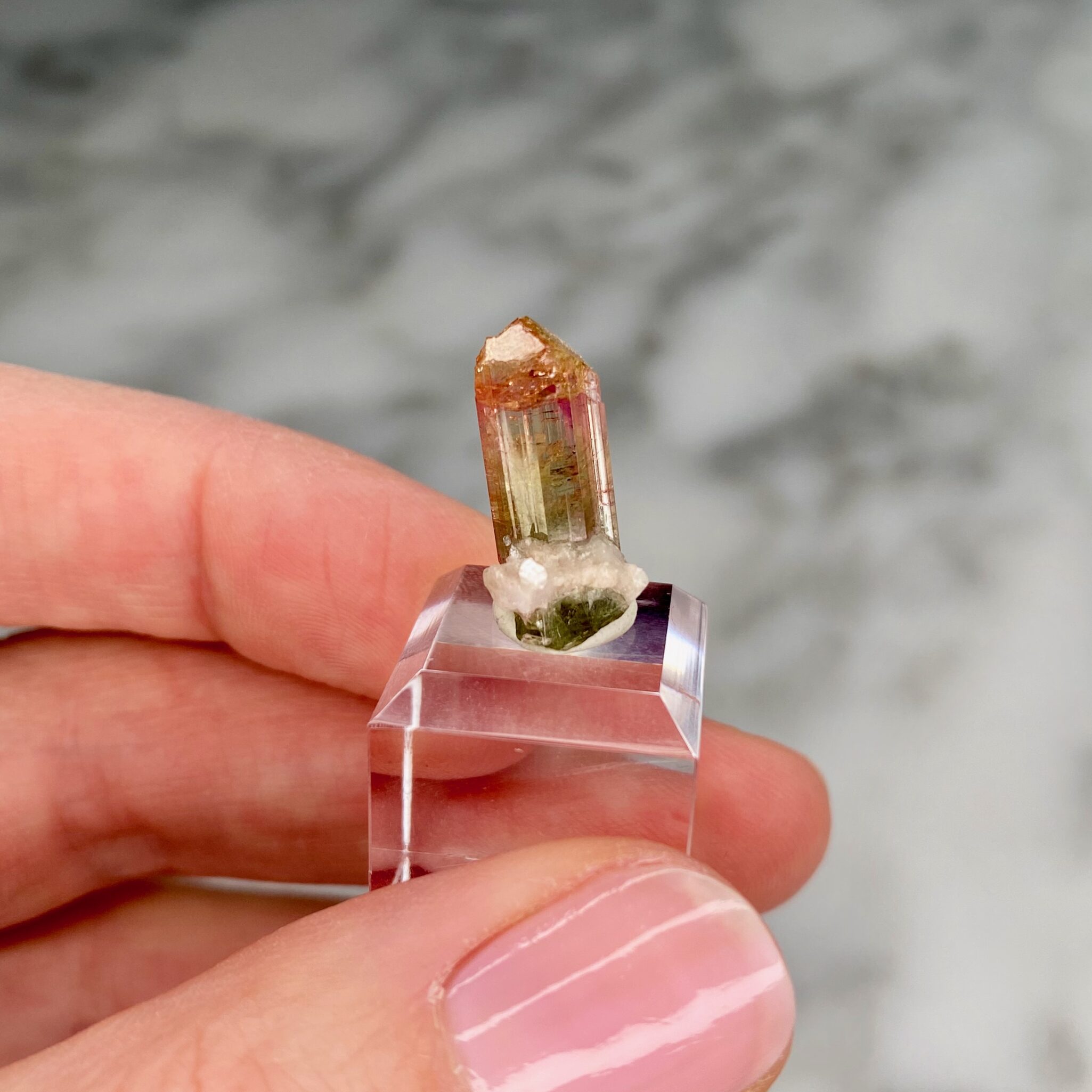 Tricolor Tourmaline with Lepidolite from Barra do Salinas 1a