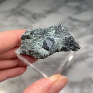 Magnetite on Chlorite Matrix from Trasversella