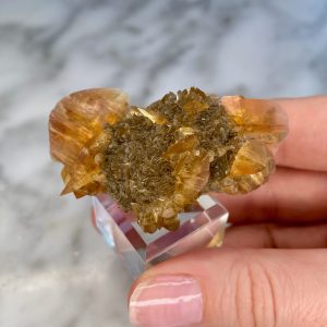 selenite from Red River Floodway