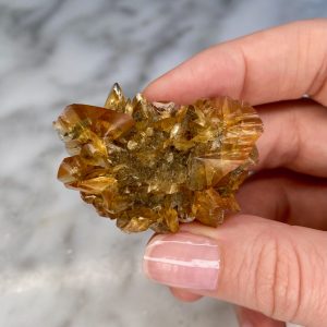 Gypsum var. Selenite from Red River Floodway B2a