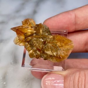 Gypsum var. Selenite from Red River Floodway B3a