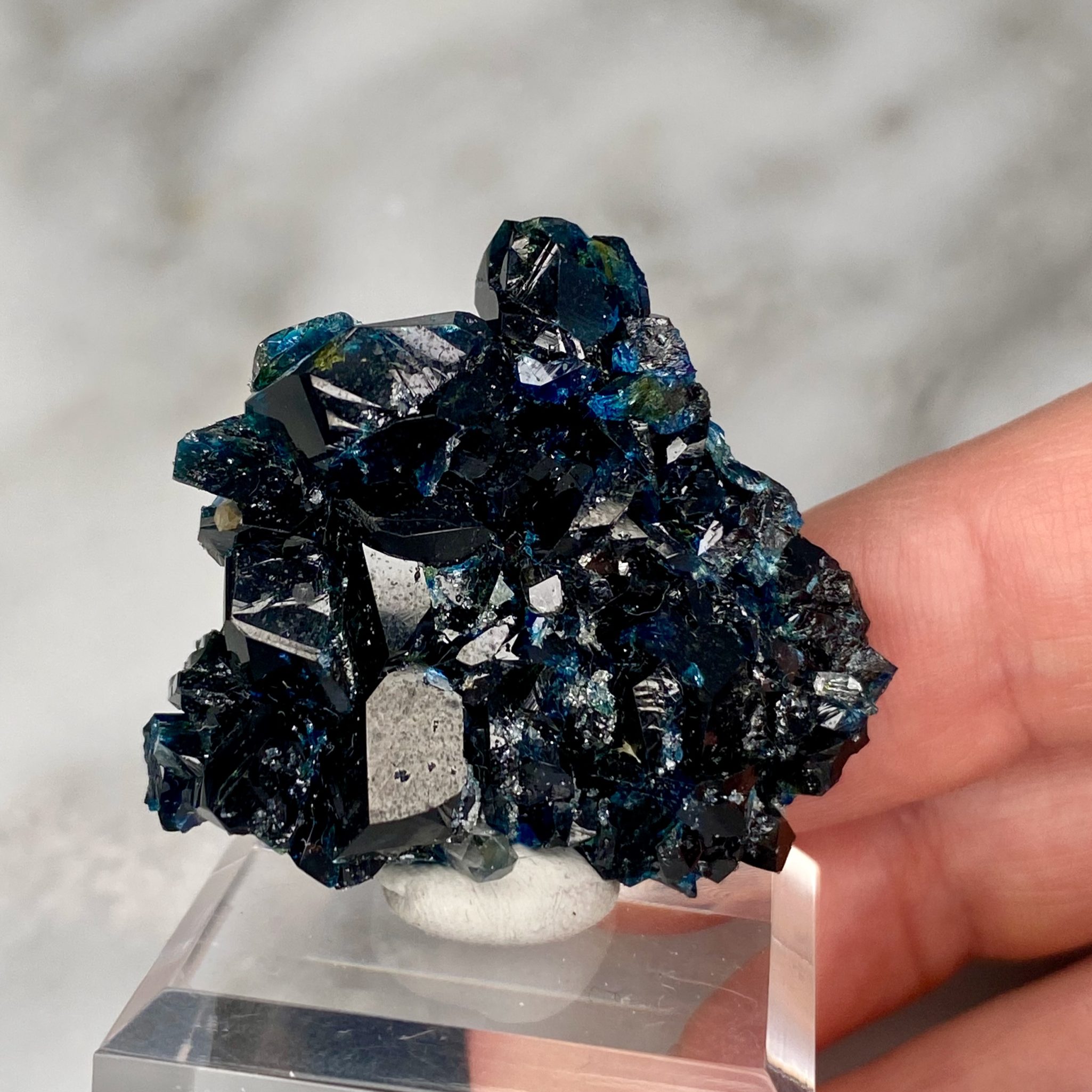 Lazulite Cluster from Rapid Creek, Yukon, Canada - Image 6