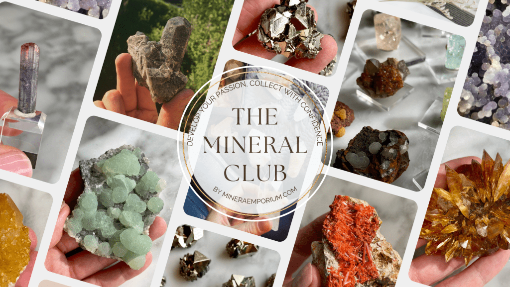 The Mineral Club Skool Banner